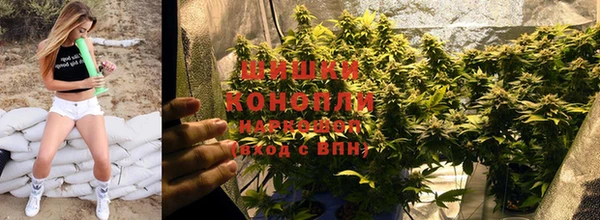 ПСИЛОЦИБИНОВЫЕ ГРИБЫ Новодвинск