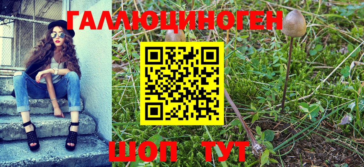 Псилоцибиновые грибы мицелий  Вход с VPN  Лянтор  Псилоцибиновые грибы GOLDEN TEACHER 